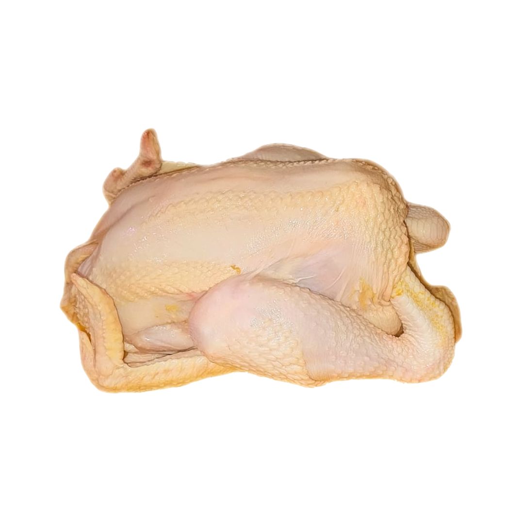 Fresh Kampong Whole Chicken