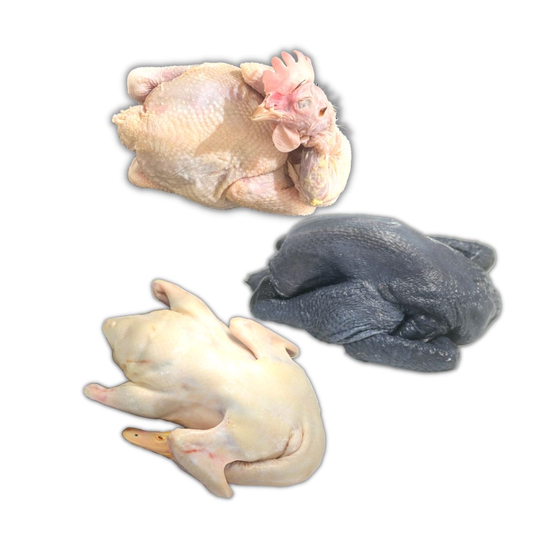 More Chickens & Ducks