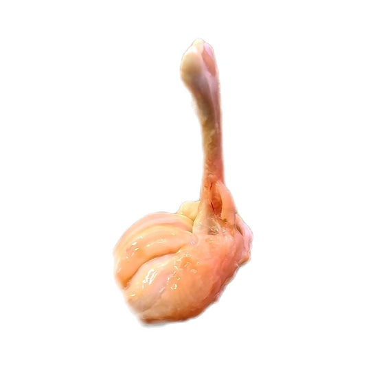 Fresh Kampong Chicken "Lollipop" Drumette (per 500g)